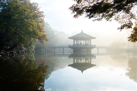 奈良県 奈良公園鹿と紅葉や朝霧の幻想的な景色が見れる秋におすすめのスポット 撮影した写真の紹介、アクセス情報や駐車場情報など 写真や