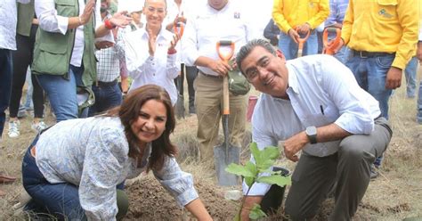 Puebla Sergio Salomón Céspedes inicia programa de reforestación en