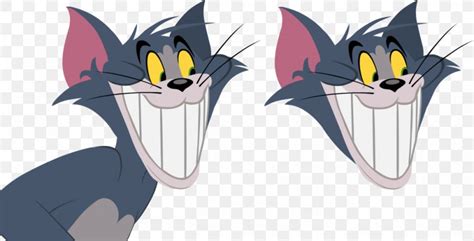 Toodles Galore Tom Cat Cartoon Tom And Jerry Butch Cat Png 1024x522px