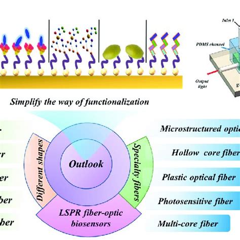 The Outlook Of Lspr Fiber Optic Biosensors Download Scientific Diagram