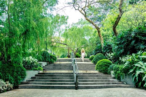 Singapore Botanic Gardens World Heritage Site In The Heart Of