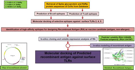 Strategy To Configure Multi Epitope Recombinant Immunogens With