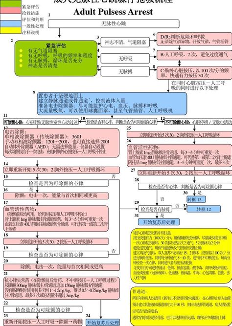 成人无脉性心跳骤停抢救流程word文档免费下载文档大全