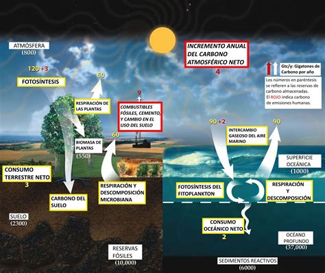 Cuáles Son Las Propiedades Químicas Del Dióxido De Carbono Y Cómo Afecta A Nuestro Medio Ambiente