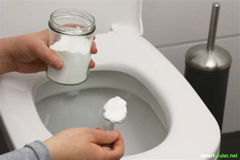 Toilette Putzen Und Sauber Halten Mit Hausmitteln Ohne Giftige Chemie