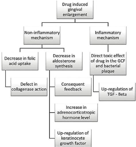 The Non Inflammatory And The Inflammatory Mechanism For Drug Induced