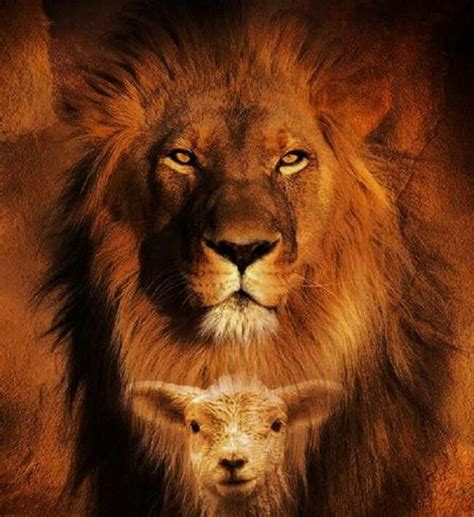 Lamb And Lion