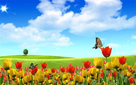 Nature Flowers Wallpapers - 4k, HD Nature Flowers Backgrounds on ...