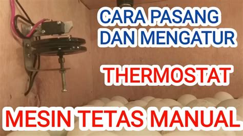 Cara Memasang Dan Mengatur Suhu Thermostat Untuk Mesin Tetas Manual