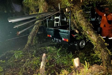 Pohon Tumbang Timpa Sejumlah Mobil Di Jakarta Selatan ANTARA News