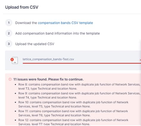 Error Row X Contains Compensation Band Row With Duplicate Job Function Of X Level X Type X