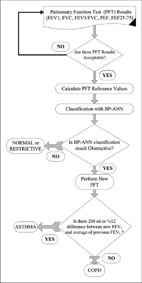 The Evaluation Flow Chart Of The Pulmonary Function Test PFT BP ANN