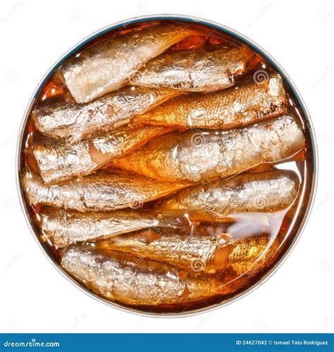 Canned Sardines Stock Photo Image Of Appetizer Interior 24627042