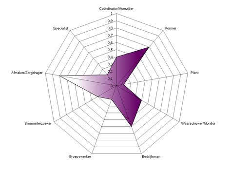 Belbin Teamrollen Een Gids Voor Succesvolle Samenwerking