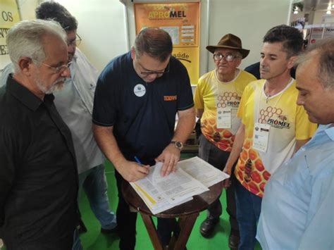 Escola Municipal Maria Verônica comemora o Dia do Livro Infantil