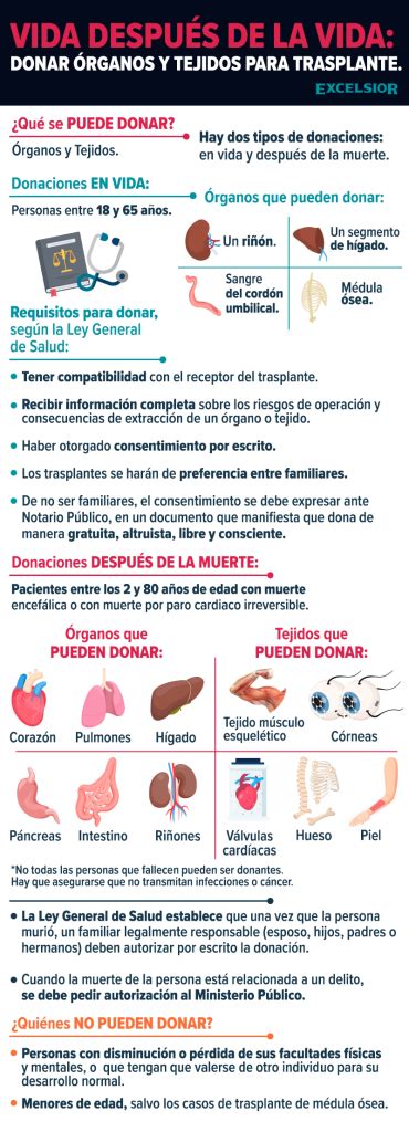 Requisitos para donar órganos en México todo lo que debes saber