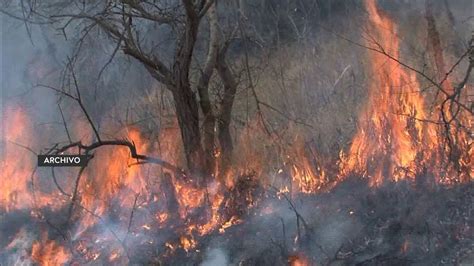 Al Menos 377 24 Hectáreas De Bosque Han Sido Consumidas Por Incendios