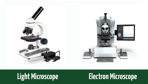 Light Vs Electron Microscope What S The Difference With Pictures