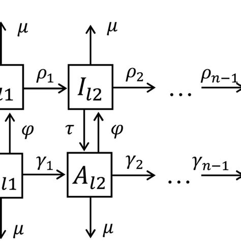 Schematic Diagram Of The Hiv Model The Model Describes Hiv Infection