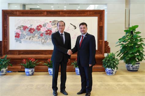 Vice Foreign Minister Deng Li Holds Political Consultations With State