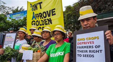 Press Release Greenpeace Philippines