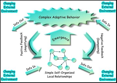 Complex Adaptive System