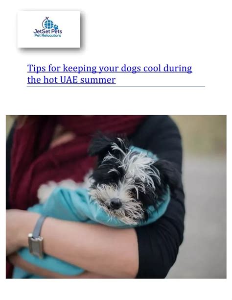 Ppt Tips For Keeping Your Dogs Cool During The Hot Uae Summer