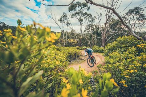 mountain bike trails  melbourne victoria