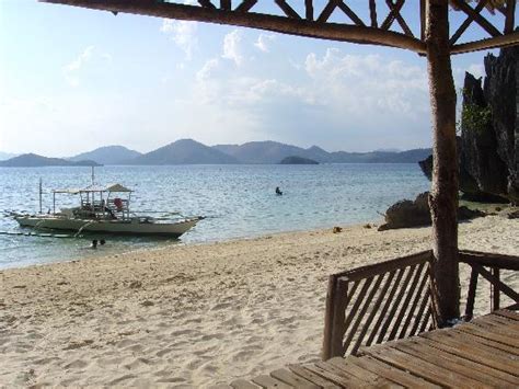 seafront resort reviews