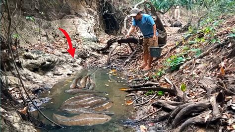 ALANGKAH BANYAK IKAN BESAR Di AIR SEKECIL INI Mencari Ikan Di Musim