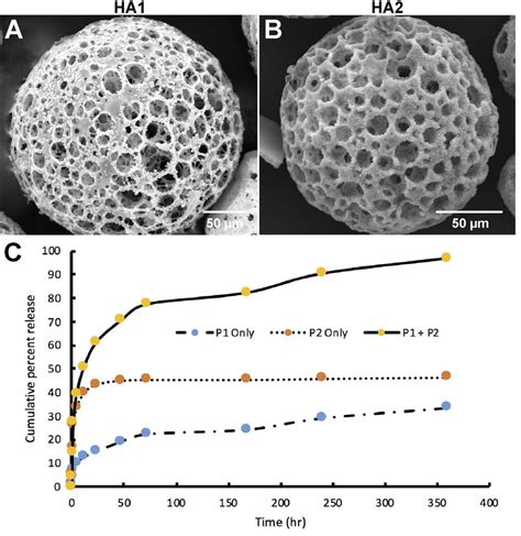 Hydroxyapatite Coated Microspheres Allow For Protein Loading And