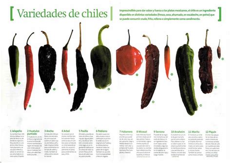 Chiles Tipos De Chiles Auténticos Comidas Mexicanas Y Chile Mexicano