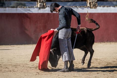 Tentadero De Esaú Fernández En Victoriano Del Río Aplausos Es