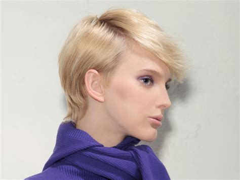 Gamine Short Haircut With A Full Crown And Back Section