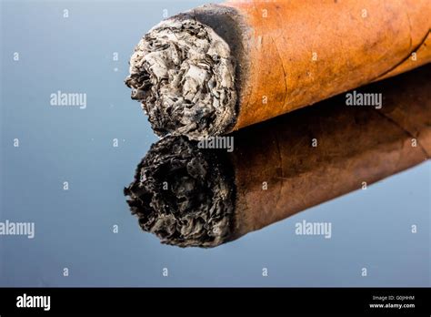 Smoking Cigar Stock Photo Alamy