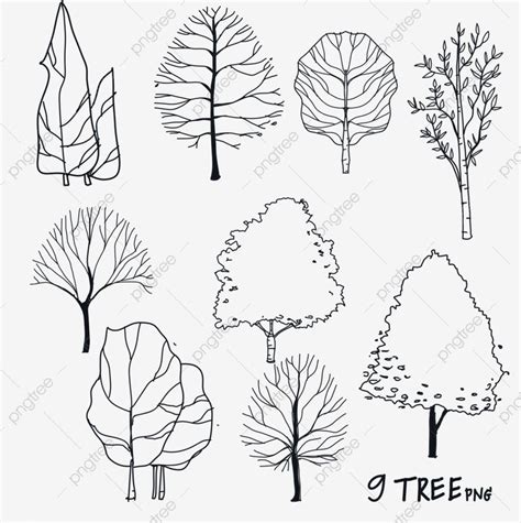 10 Tree Line Png, Tree Drawing, Tree Sketch, Tree Line PNG Transparent ...