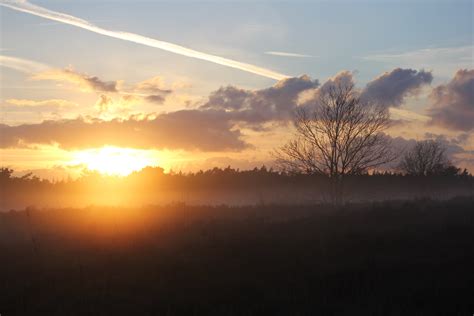 Free Images Tree Nature Forest Horizon Cloud Sun Sunrise