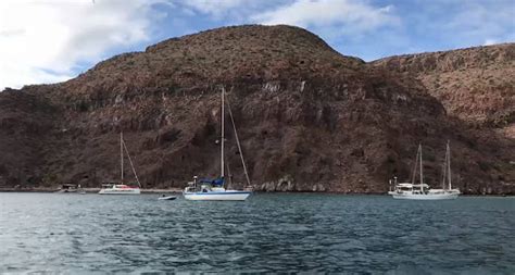 Archipi Lago Mexicano De Esp Ritu Santo La Joya Del Acuario Del Mundo