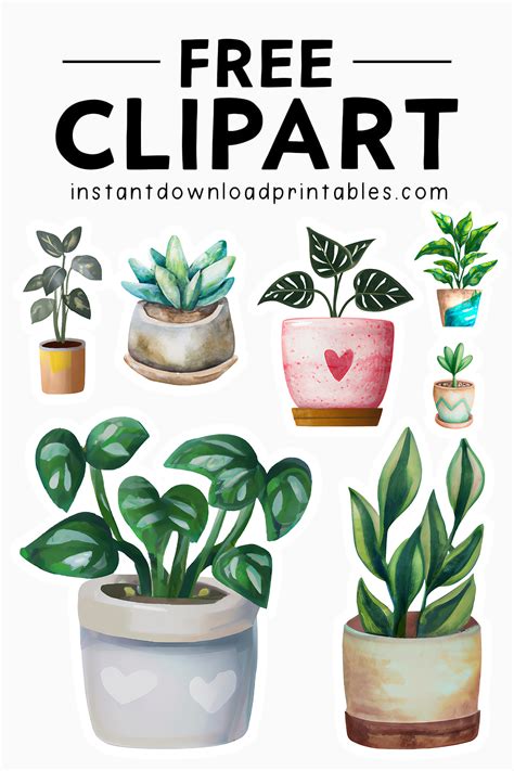 Free potted plant clipart, Download Free potted plant clipart png ...