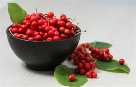 Лимонник