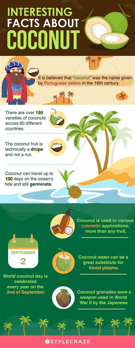 Contents Of Coconut At Thomas Steffey Blog