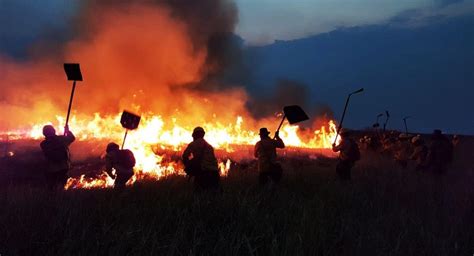 Reportan Siete Incendios Activos En El País La Mayoría Está En La Paz