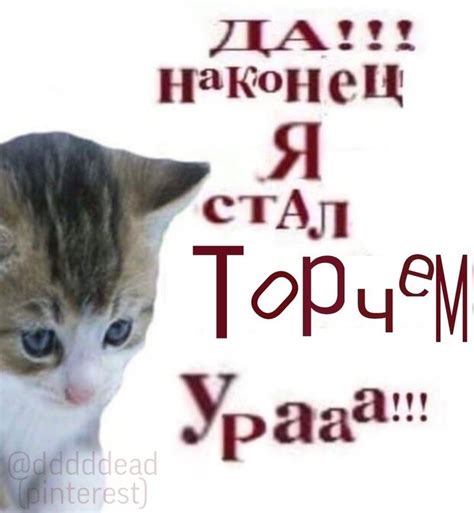 d i a m o n d | Мемы, Смешные рожи, Христианские мемы
