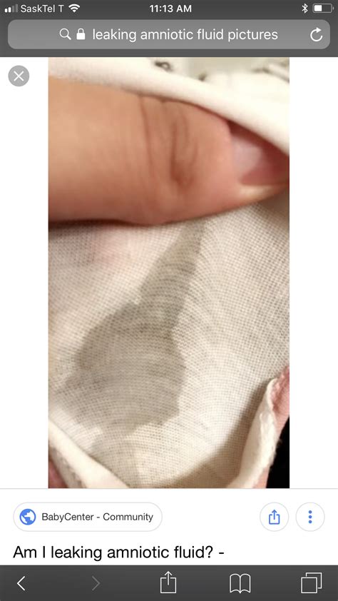 I Investigated The Ashley Rey Leak – Here's What I Found. Image 20