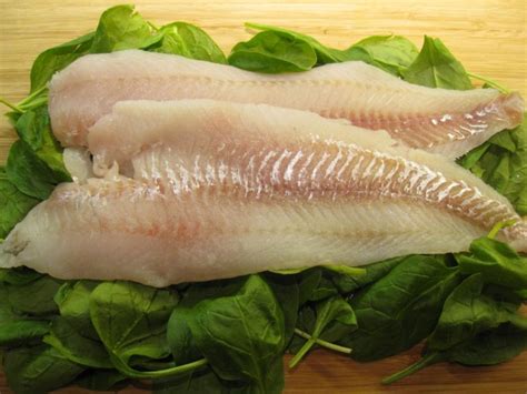 How To Cook Pickerel Simple And Easy To Do