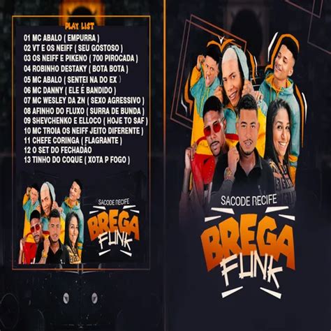 Cd Brega Funk Atualizado Dezembro Brega Funk Sua M Sica