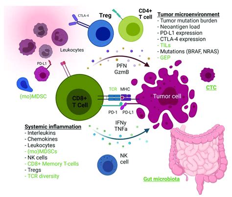 Overview Of Predictive Biomarkers For Response To Icis Biomarkers That