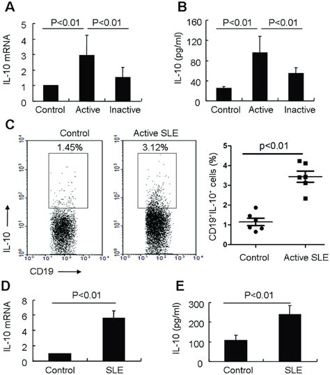 Il 10 Production In Breg Cells Of Sle Patients A Real Time Rt Pcr