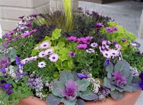 25 Gorgeous Full Sun Container Plants Ideas To Make Up Your Garden Decorathing Container