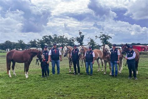 Oirschot Europameisterschaften der Pony Fahrer in den Startlöchern